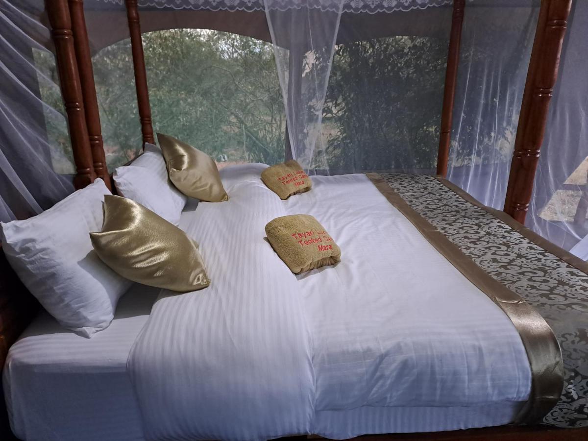 Tayari Luxury Tented Camp - Mara Sekenani Dış mekan fotoğraf