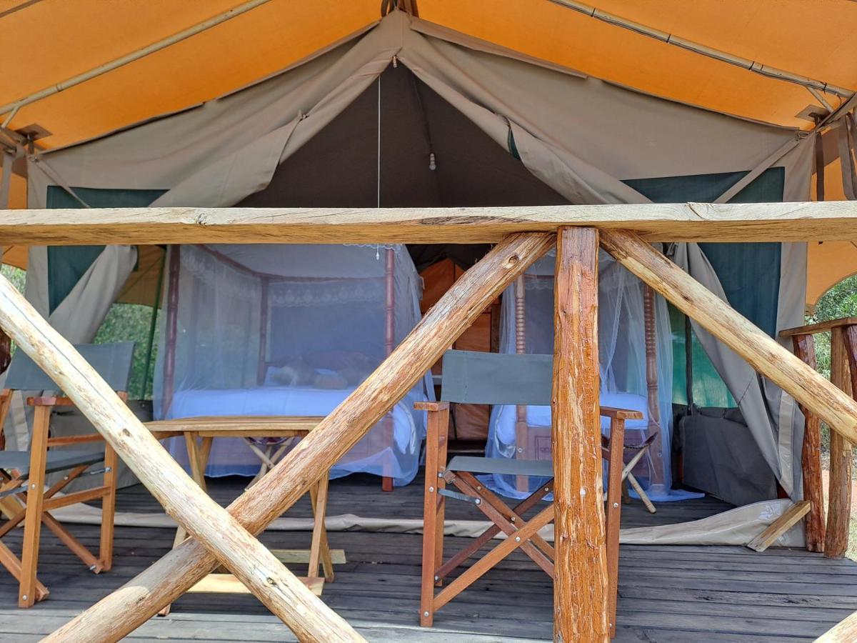 Tayari Luxury Tented Camp - Mara Sekenani Dış mekan fotoğraf
